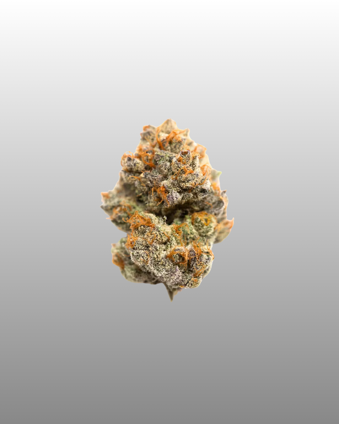 Flo See - 5g
