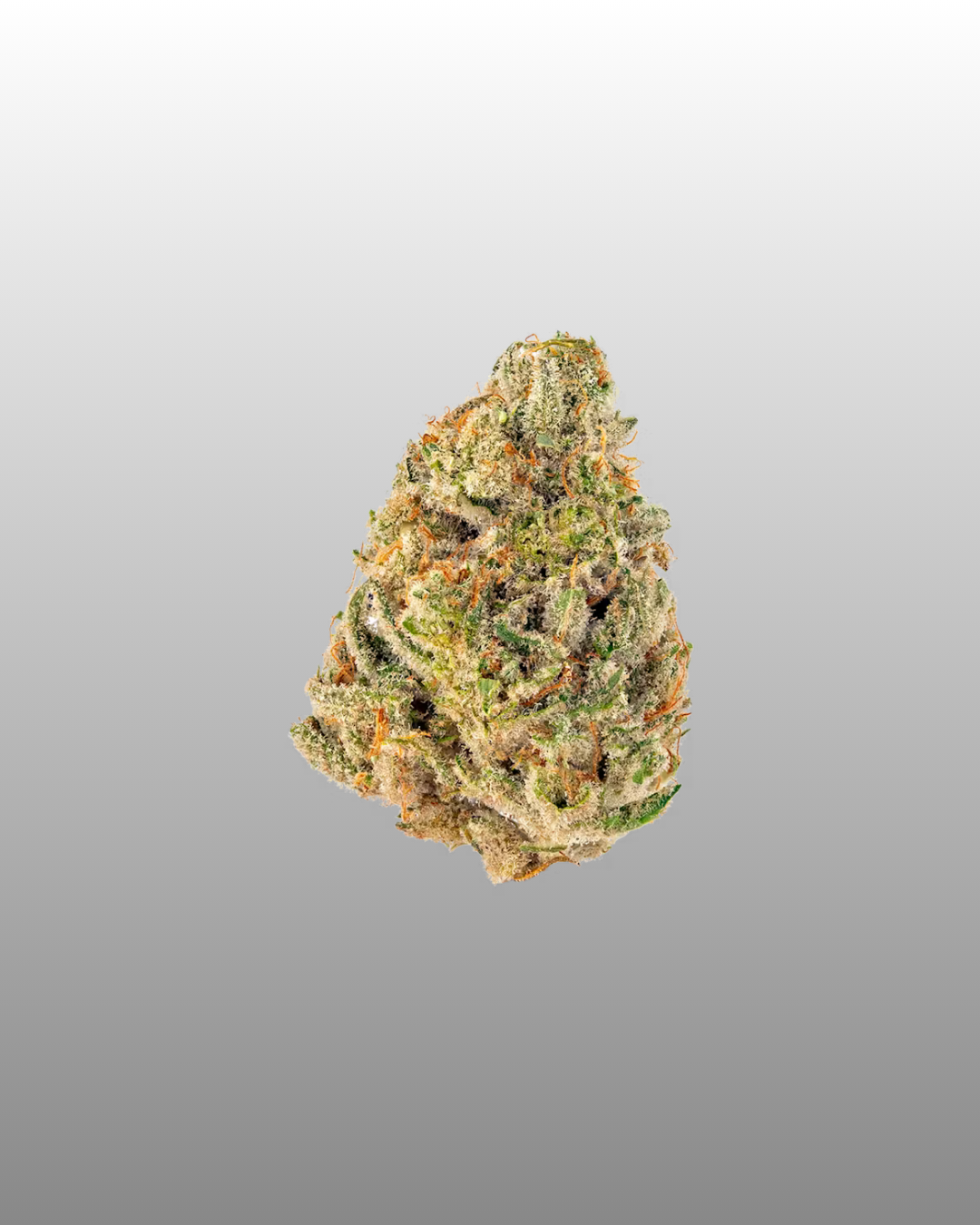 Golden Cheese - 5g
