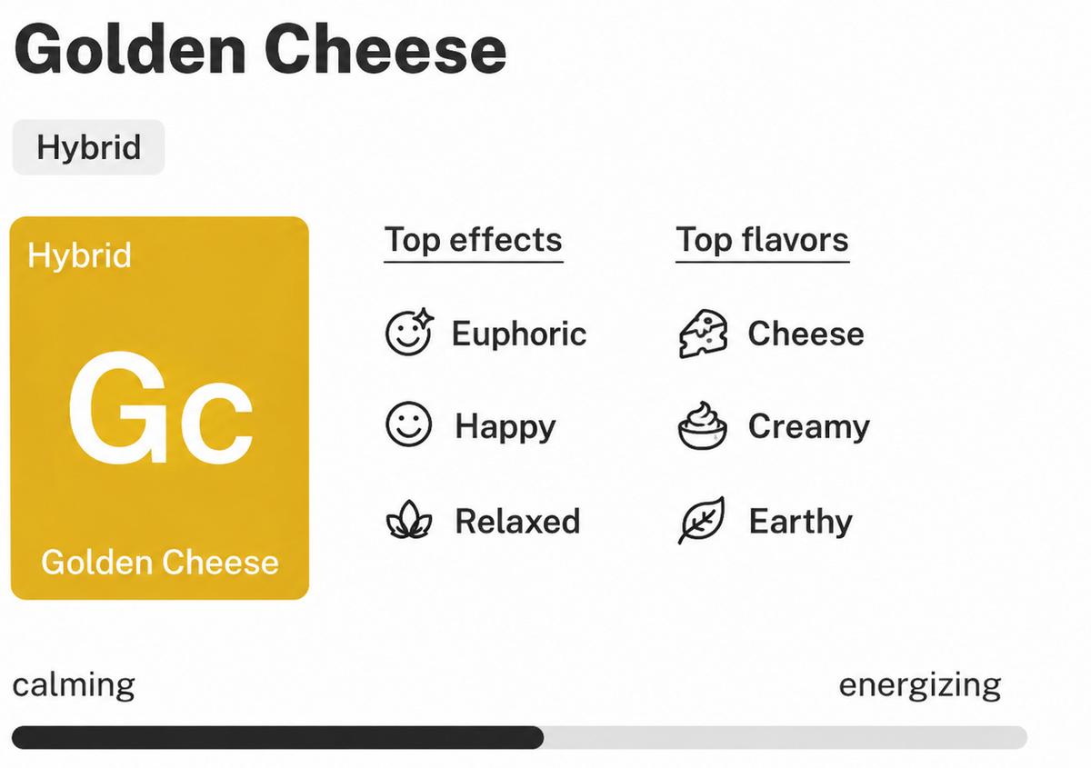 A digital card displaying the scent profile of Golden Cheese, a hybrid fragrance. The card features a prominent golden-yellow square labeled 'Hybrid Golden Cheese' with 'Gc' in the center.