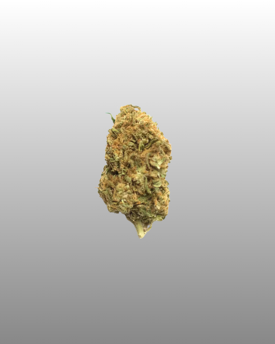 Indoor Flower Bag 5g - Ice Cream Cake