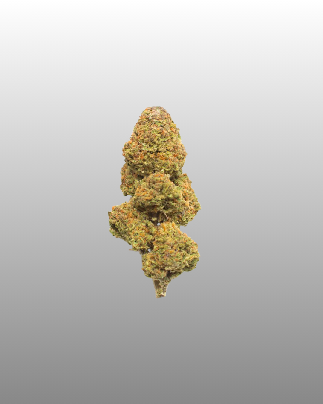Indoor Flower Bag 5g - Berry Bliss
