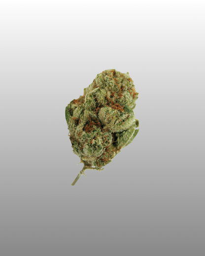 Indoor Flower Bag 5g - Nana Glue