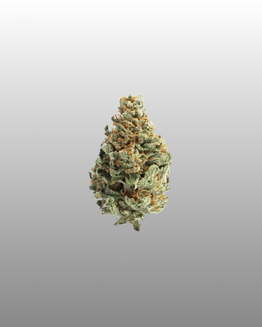 Indoor Flower Bag 5g - Cosmic Cream