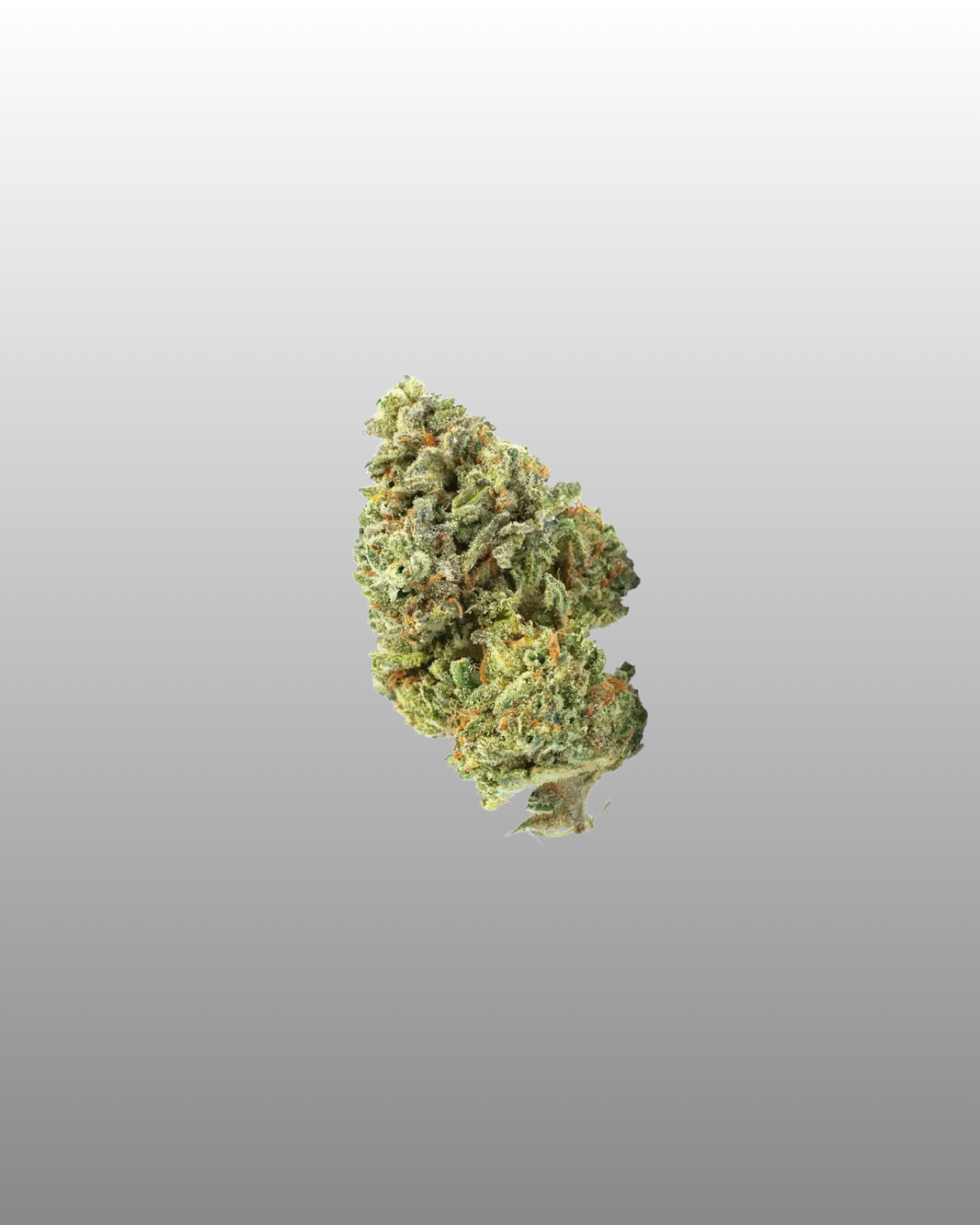 Indoor Flower Bag 5g - Shady Apples