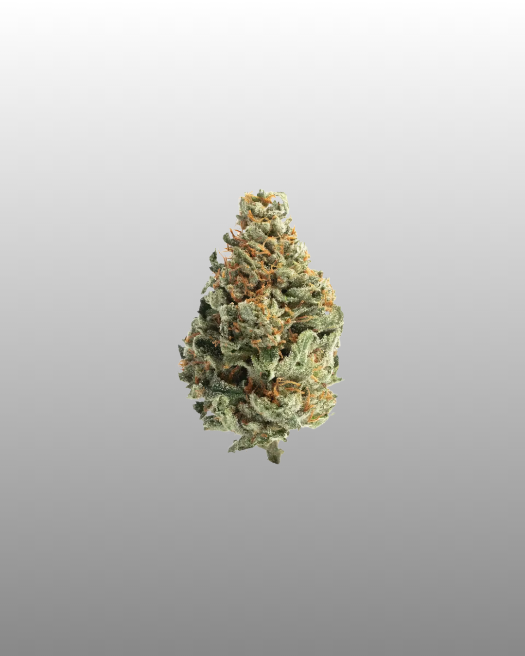 Indoor Flower Bag 5g - Super Boof
