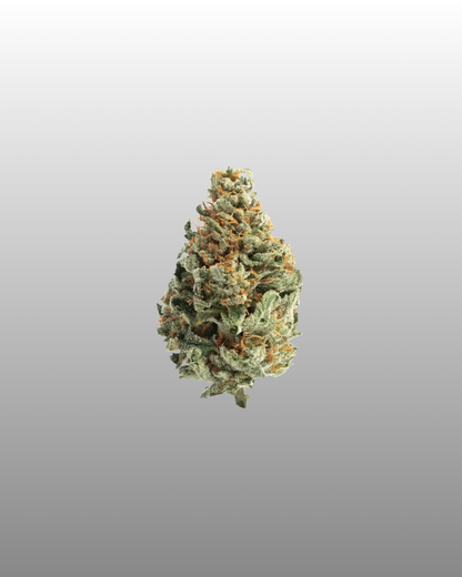 Indoor Flower Bag 5g - Super Boof