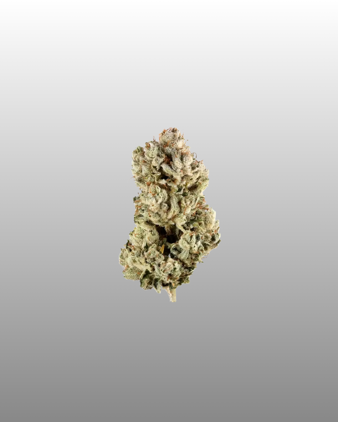 Indoor Flower Pouch 1g - Gorilla Glue