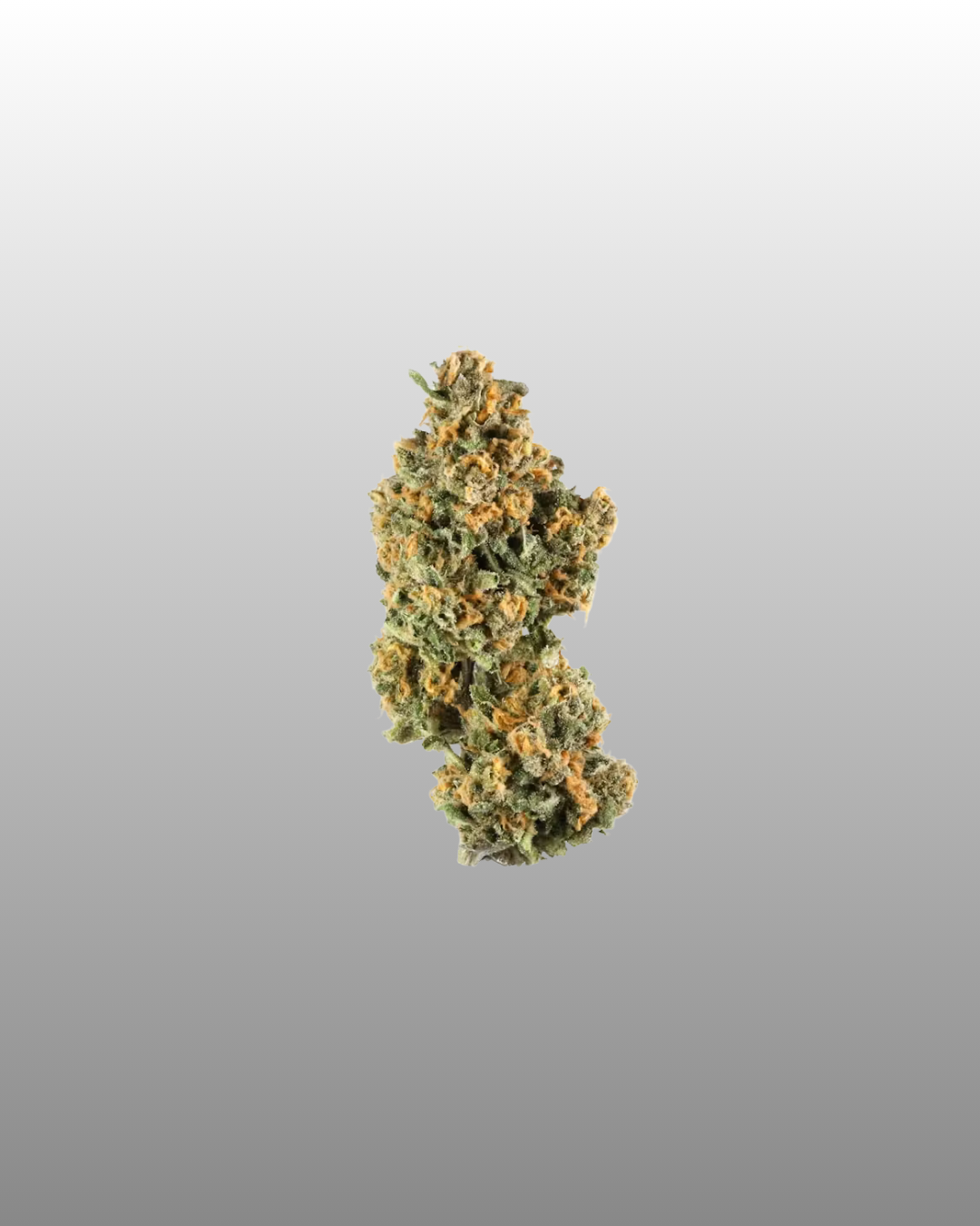 Indoor Flower Pouch 1g - Sapphire OG