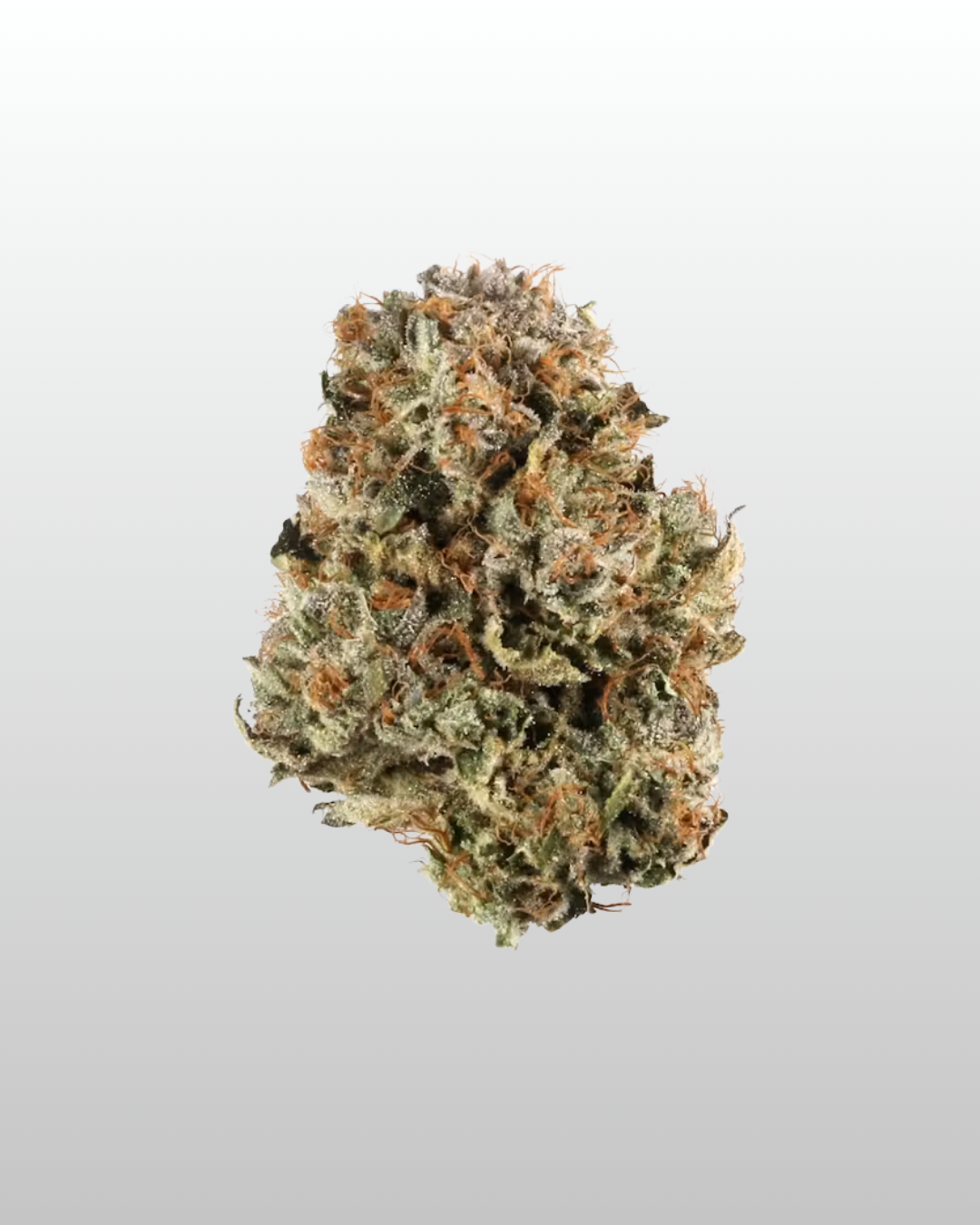 Ice Cream Cake - 1g
