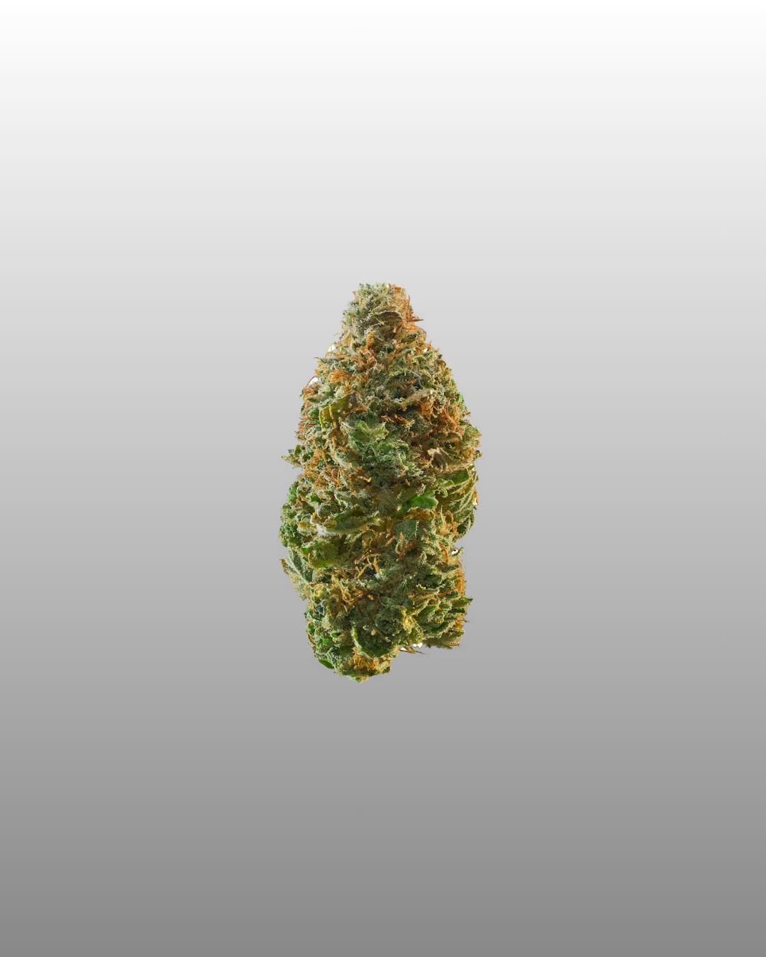 Indoor Flower Bag 5g - Wildberry Cake